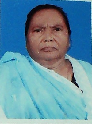 Vidya Devi Photo